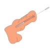FAAK Urethral Sounds 180 S