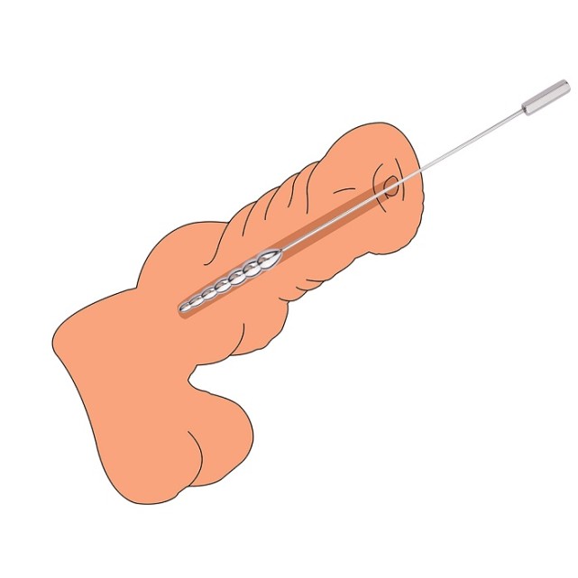 FAAK Urethral Sounds 180 S