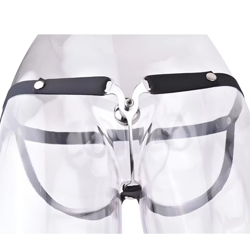 FAAK Sissy Chasity Belt w Butterfly - Ice Dragon