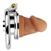 FAAK Chastity Cage 406 w Dick
