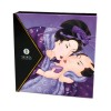 Shunga Geisha's Secrets Set Exotic