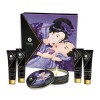 Shunga Geisha's Secrets Set Exotic