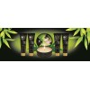 Shunga Geisha's Secrets Set Green Tea