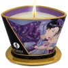 Shunga Libido Massage Candle Exotic Fruits - 30ml