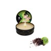 Shunga Zenitude Massage Candle Exotic Green Tea - 30ml