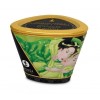 Shunga Zenitude Massage Candle Exotic Green Tea - 30ml