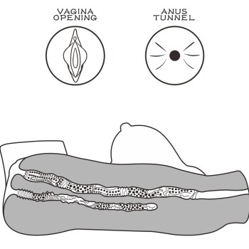 Lovetoy Streetgirl's #5 Masturbator - Brown