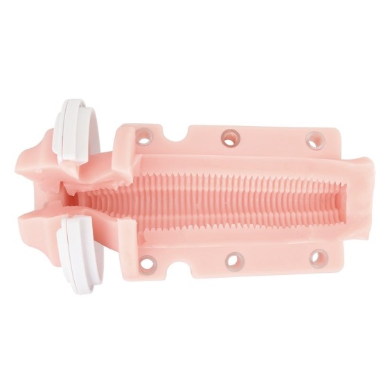 Rends A10 Piston BASIC