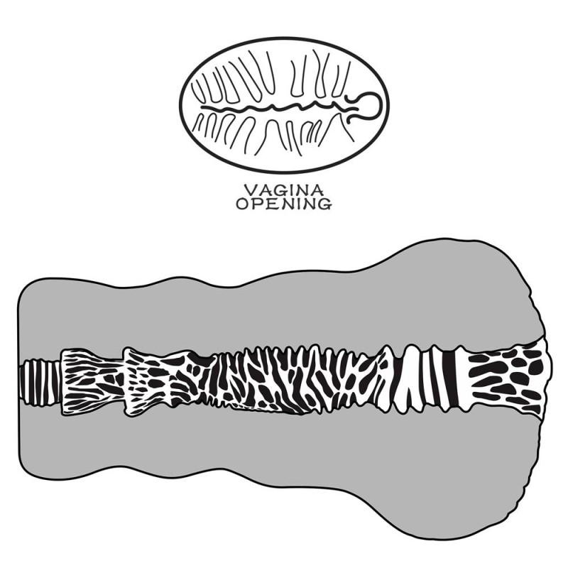 Lovetoy Alien's Pie Masturbator #2 - Skin