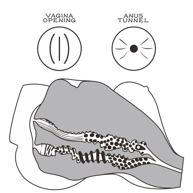 Lovetoy Streetgirl #7 Masturbator - Flesh