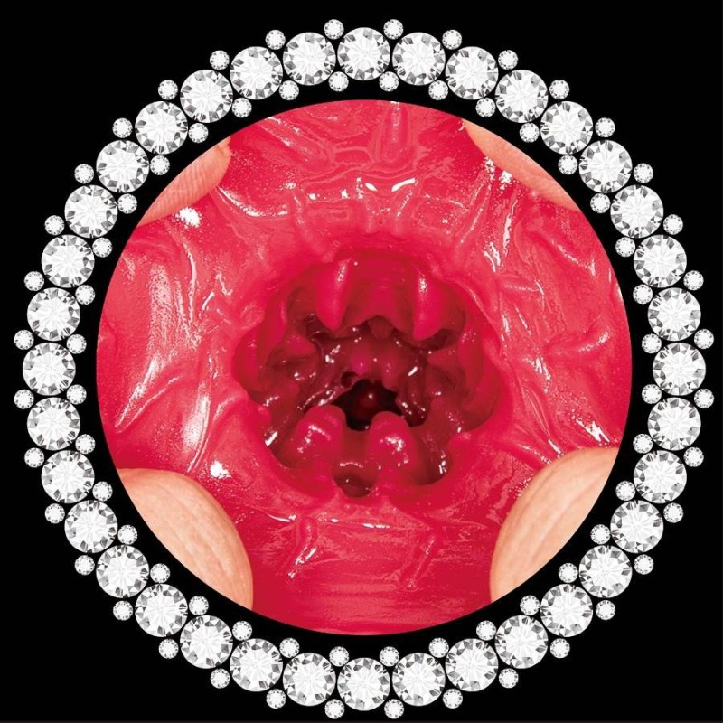 NPG Immediate Service Maid Eimi Fukada Masturbator