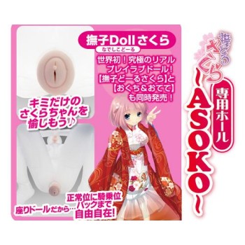 A-One Nagisa Sakura Asoko Masturbator