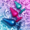 Romp Luster Butt Plug Set