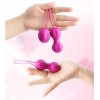 Nomi Tang IntiMate Kegel Exercise Balls - Sakura