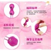 Nomi Tang IntiMate Kegel Exercise Balls - Sakura