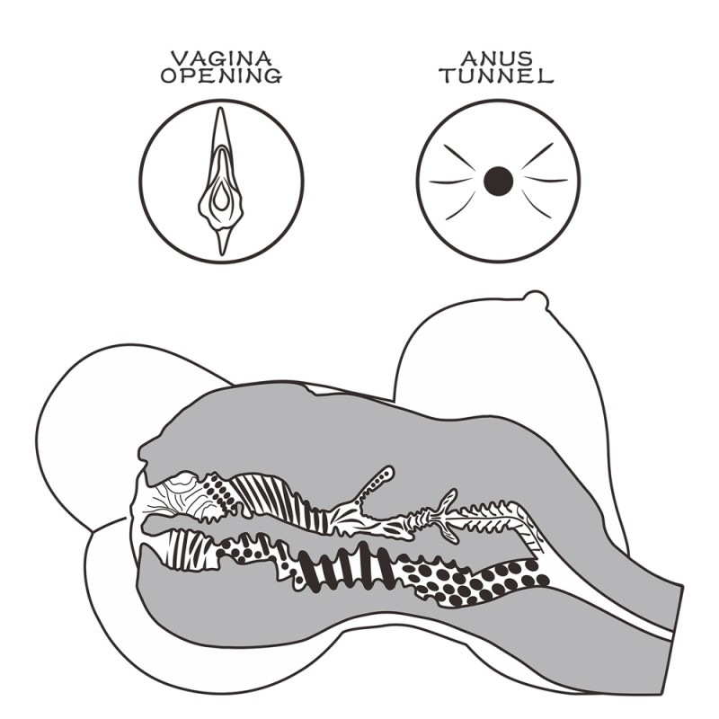 Lovetoy Streetgirl's #6 Masturbator - Flesh