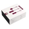 SVAKOM Nova Kegel Balls - Plum Red