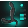 Erocome Orion RC - Prostate Massager