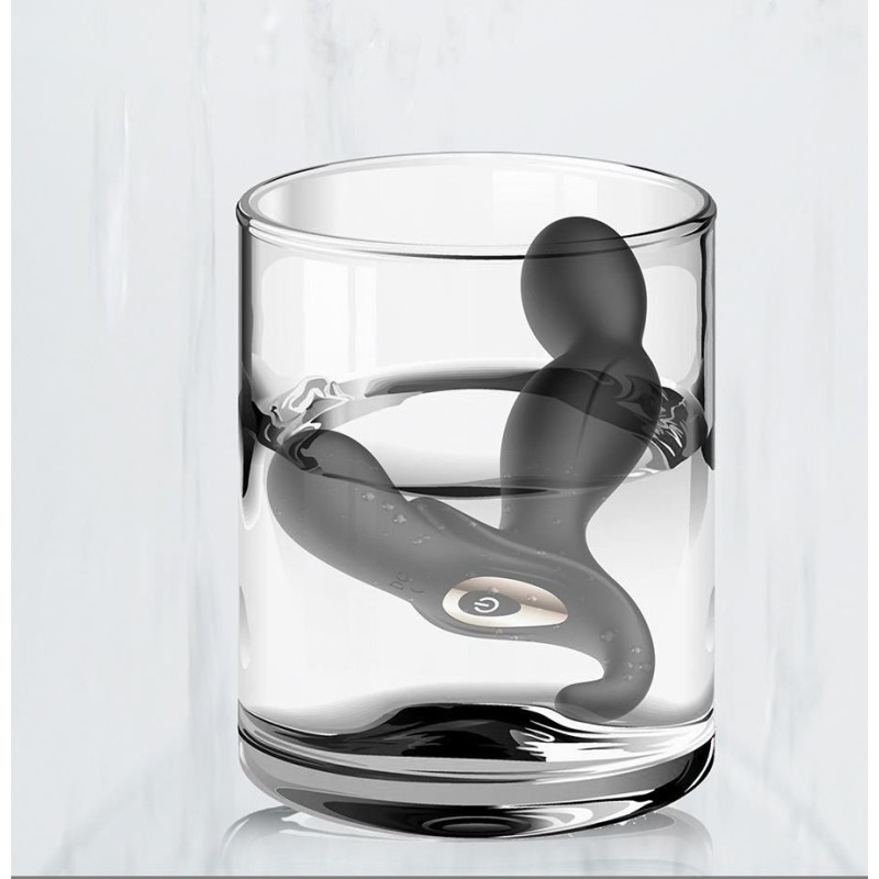 Erocome Orion RC - Prostate Massager