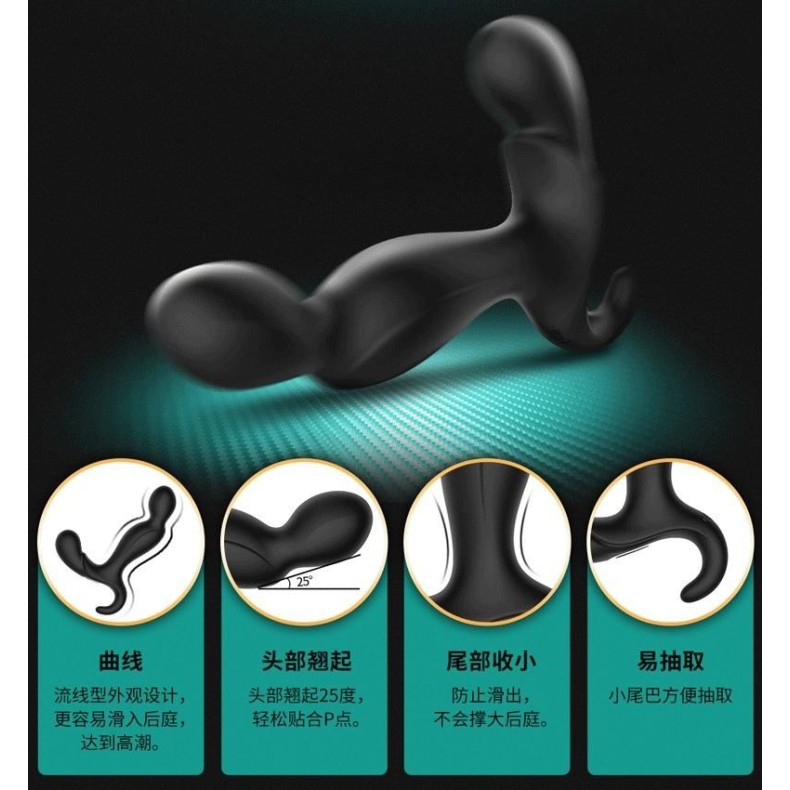 Erocome Orion RC - Prostate Massager