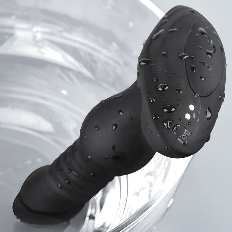 Erocome Comaberenices - Black