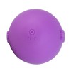 FAAK Olive Whip Vibro Plug - Purple