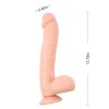 Chisa 13.8" Kosta Koufos Dildo - Flesh