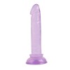 Chisa 5.3" Mini Dildo - Purple