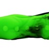 FAAK Aligator Dildo - Green/Black