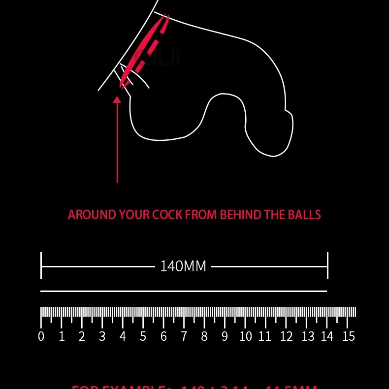 QIUI APP Controlled Chastity Device L - Black