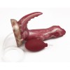 FAAK Velociraptor Squirt Dildo - Kimmy