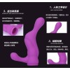 Adrien Lastic 2X Double Ended Vibrator