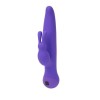 Swan Touch By Swan Duo Vibrator - Purple