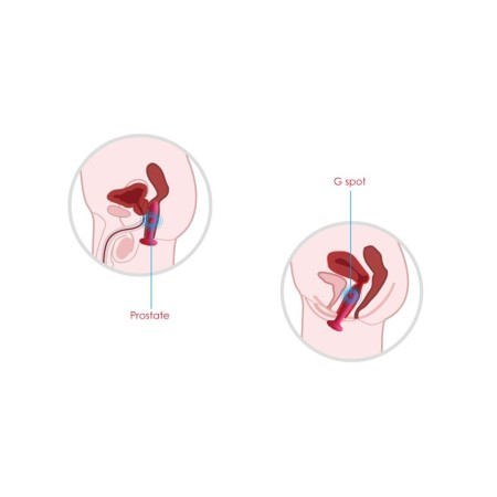 SVAKOM Primo Remote Control Heating Anal Vibrator - Black