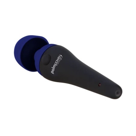 Palmpower Recharge Massager - Blue