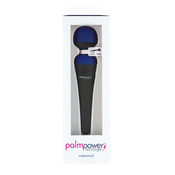 Palmpower Recharge Massager - Blue
