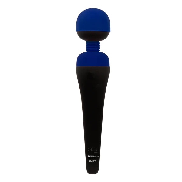 Palmpower Recharge Massager - Blue