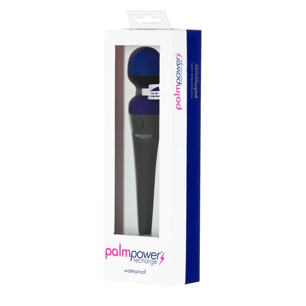 Palmpower Recharge Massager - Blue