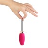 SVAKOM Elva Remote Control Egg Vibrator - Plum Red