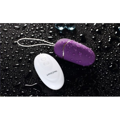 Erocome UrsaMinor - Egg - Purple