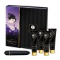 Shunga Naughty Geisha Kit w Toy