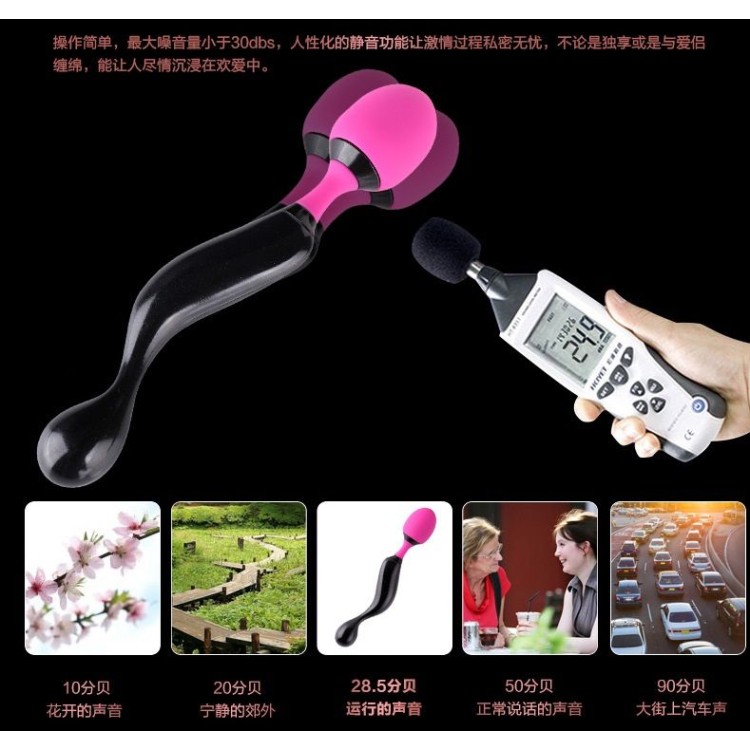 Adrien Lastic Symphony Wand Massager