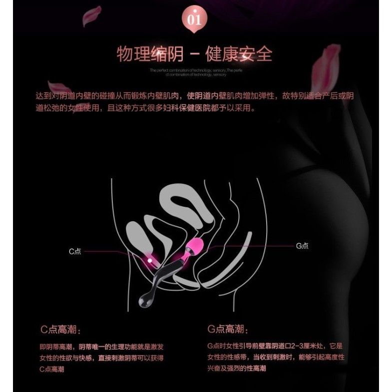 Adrien Lastic Symphony Wand Massager