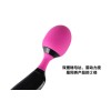 Adrien Lastic Symphony Wand Massager