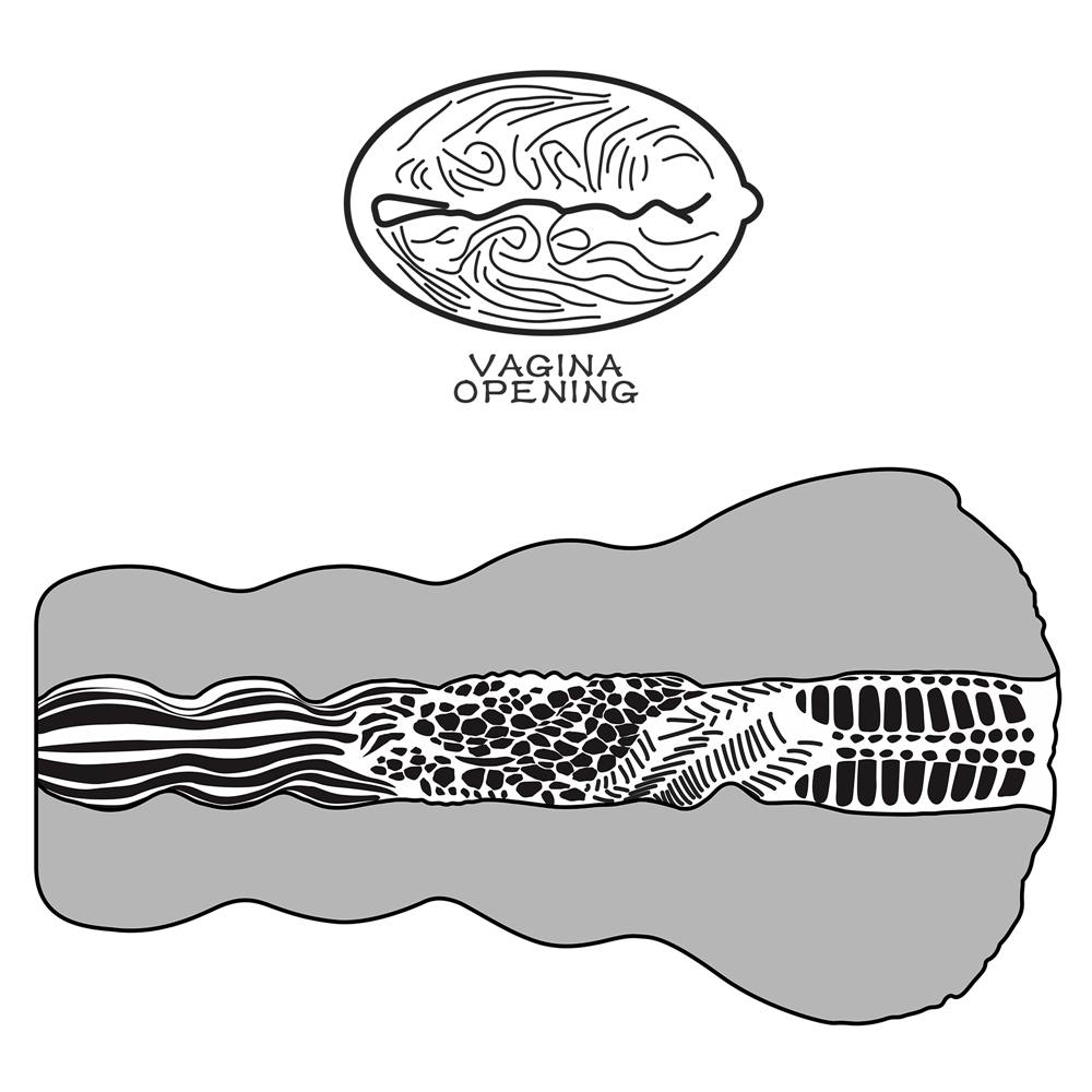 Lovetoy - Alien's Pie Masturbator #3 - Skin photo-9