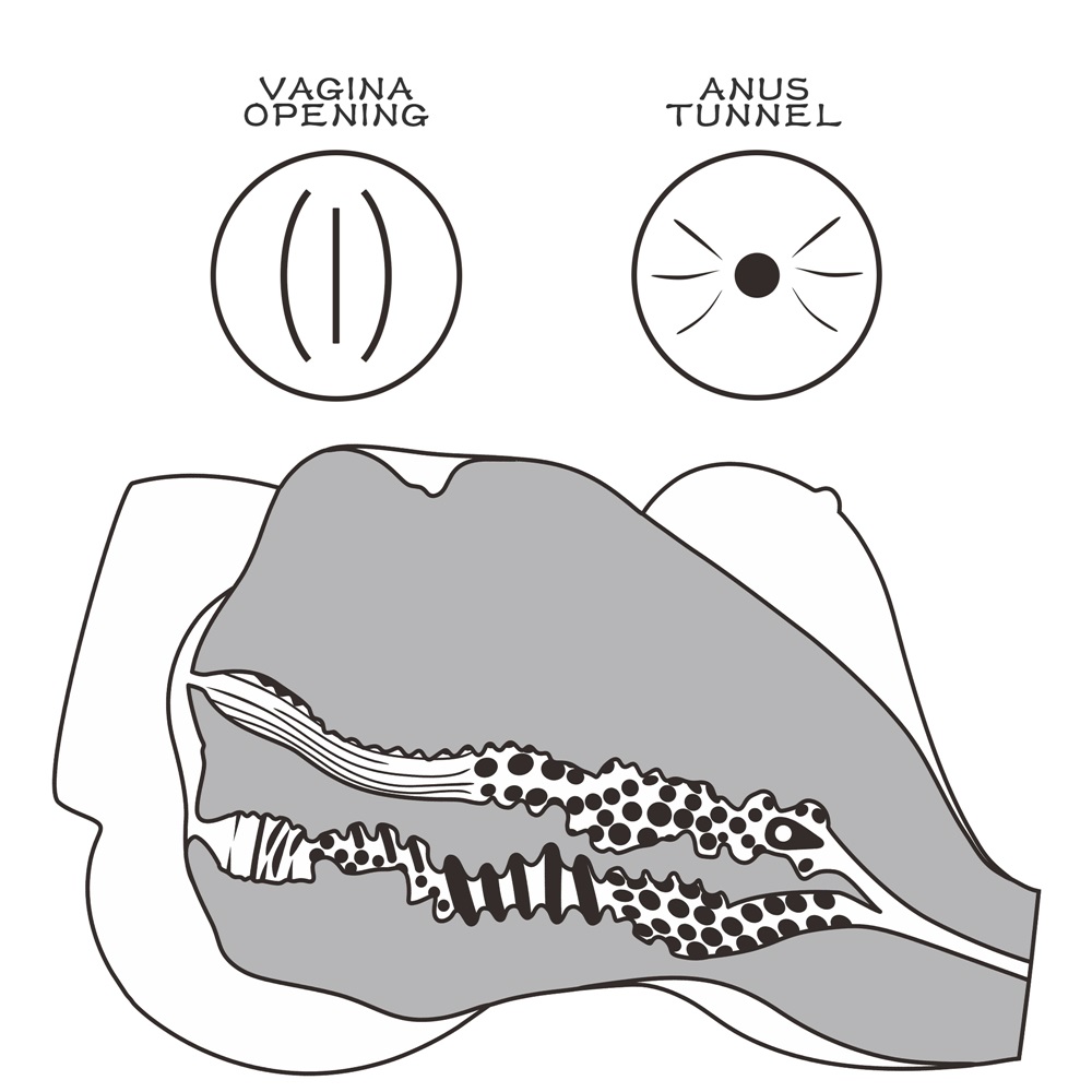 Lovetoy - Streetgirl #7 Masturbator - Flesh photo-12