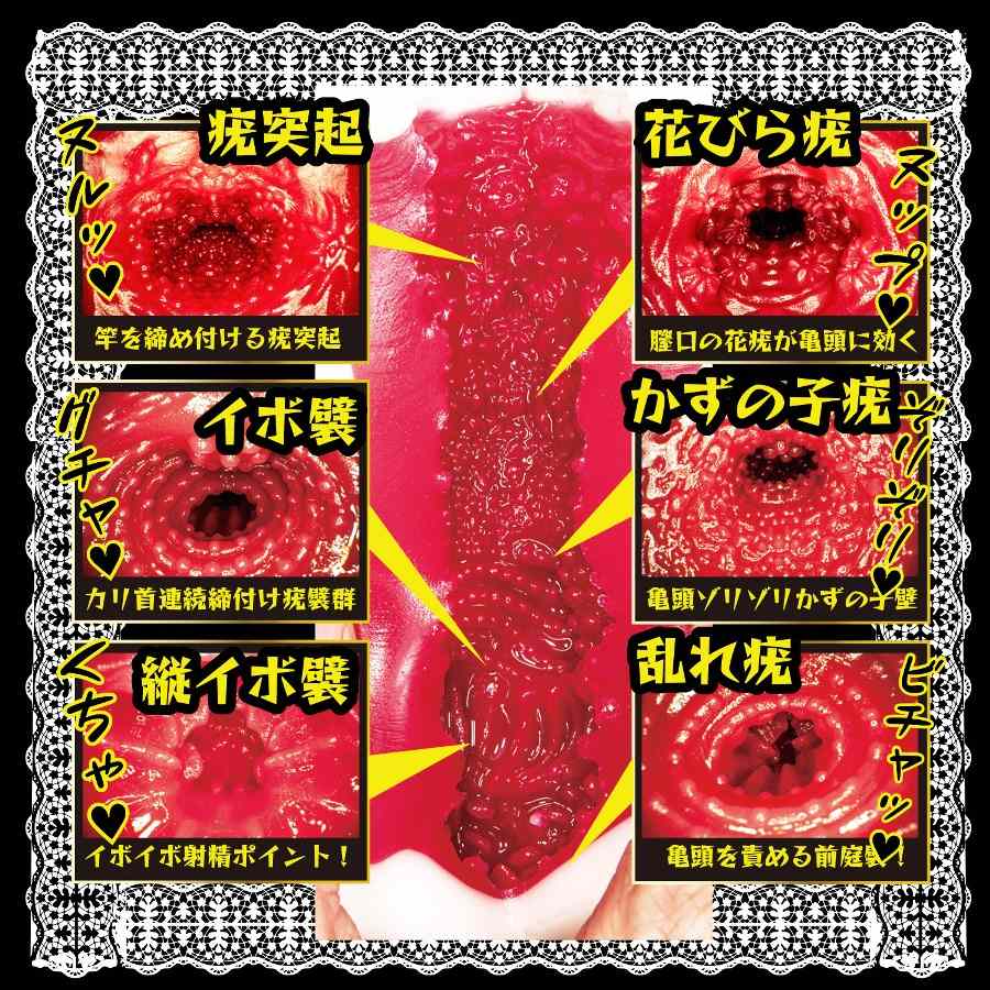 NPG - Immediate Service Maid Minami Aizawa Masturbator photo-2