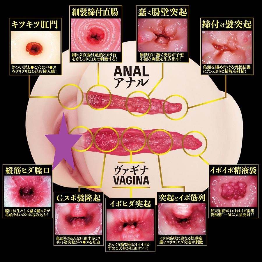 NPG - Eimi Fukada 2 Hole Masturbator 3.1kg photo-2
