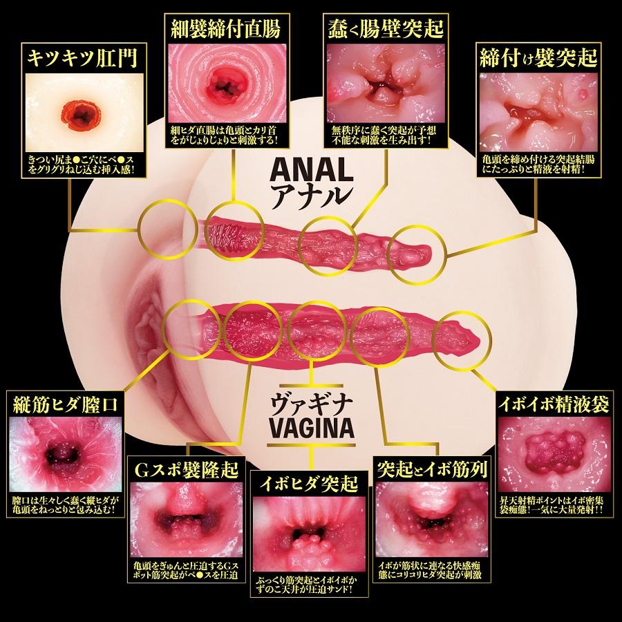 NPG - Eimi Fukada 2 Hole Masturbator 3.1kg photo-5