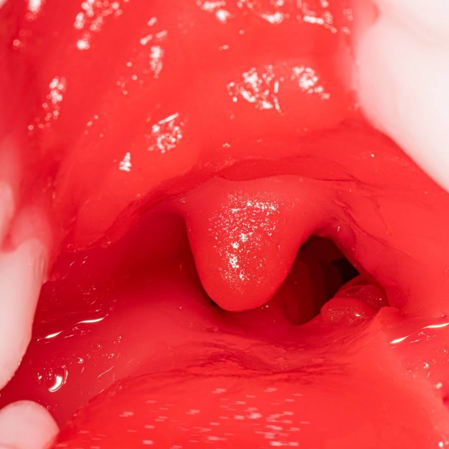 NPG - Tsubasa Hachino Mouth Masturbator photo-4